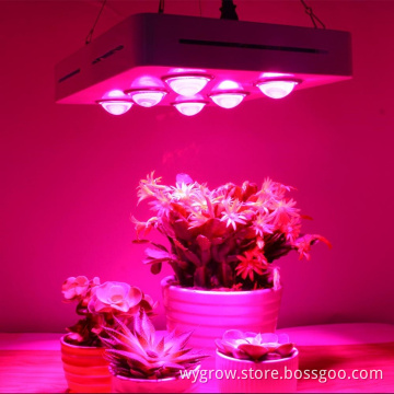 1800W Grow light for herbs hydroponic